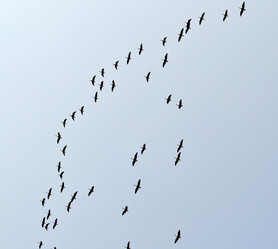 Similar image 171930