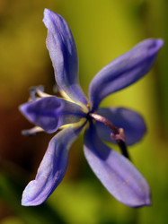 Similar image 171931