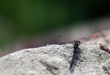 Similar image 171948