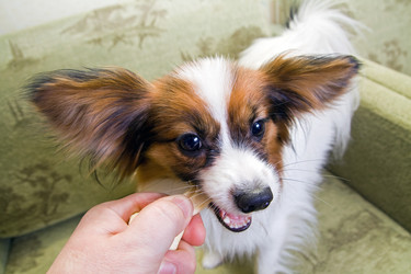 Similar image 171949