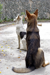 Similar image 171950