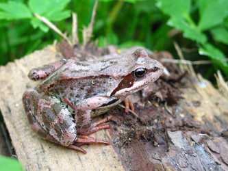 Similar image 171960