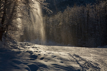 Similar image 171983