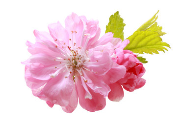 Similar image 171985