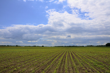 Similar image 171986