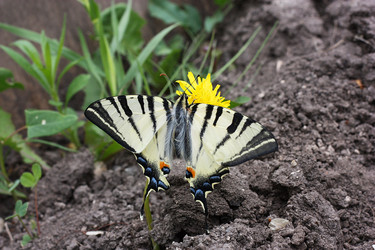 Similar image 172013