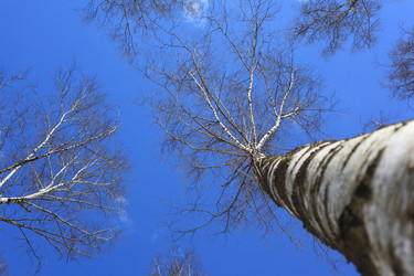 Similar image 172014