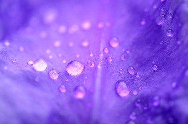 Similar image 172038