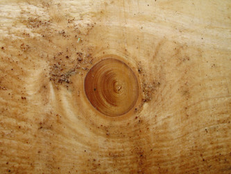 Similar image 172040