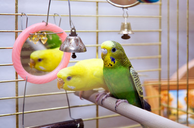 Similar image 172063