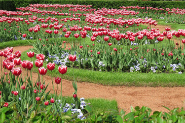 Similar image 172111