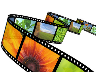 Similar image 172149