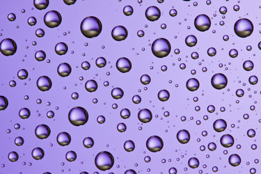 Similar image 172153