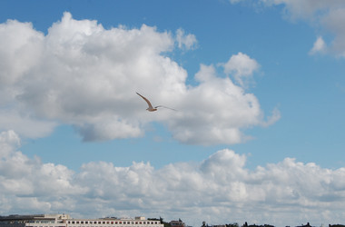 Similar image 172157