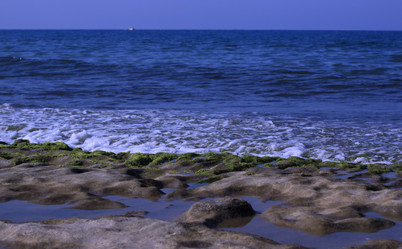 Similar image 172162