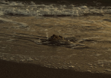 Similar image 172164