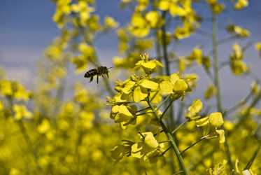 Similar image 172172