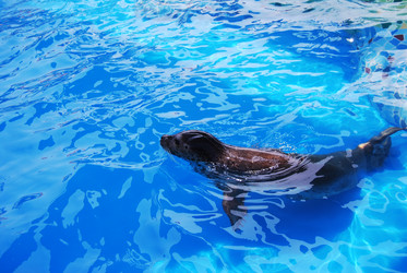 Similar image 172179