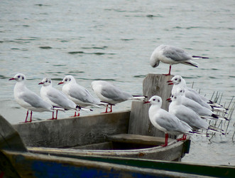 Similar image 172189