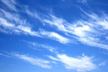 Similar image 172194