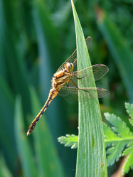 Similar image 172195