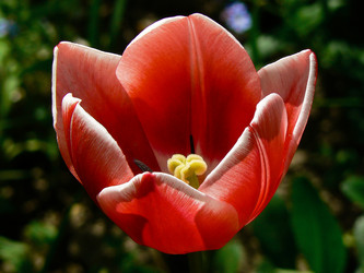 Similar image 172200