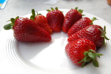 Similar image 172202