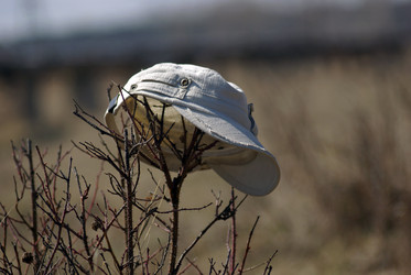 Similar image 172221