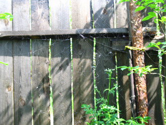 Similar image 172229