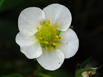 Similar image 172231