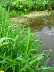 Similar image 172234