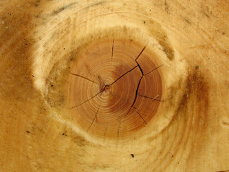 Similar image 172235