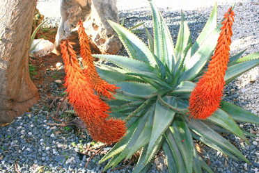 Similar image 172236