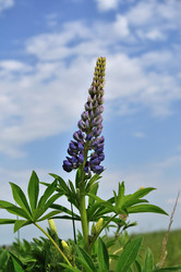 Similar image 172272