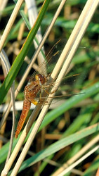 Similar image 172285