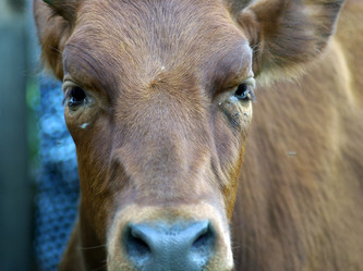 Similar image 172294