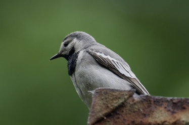 Similar image 172300