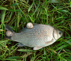 Similar image 172306