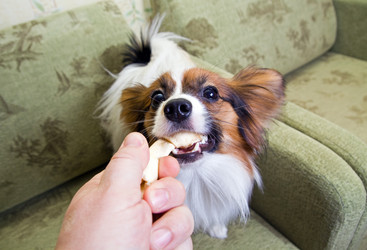 Similar image 172315