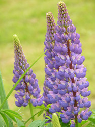 Similar image 172327