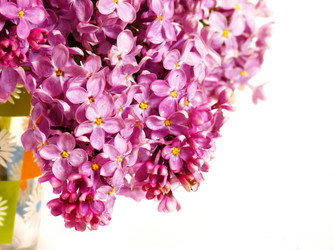 Similar image 172333