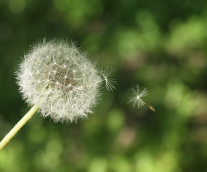 Similar image 172348