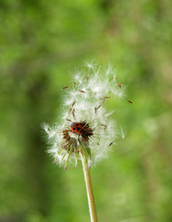 Similar image 172349