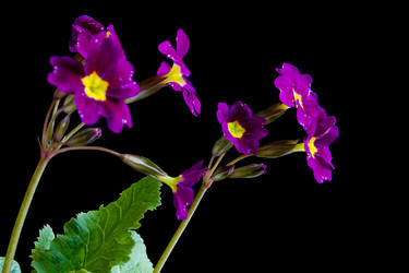 Similar image 172357