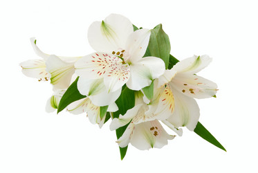 Similar image 172358