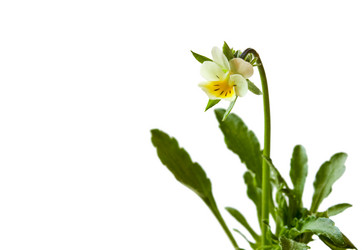 Similar image 172362