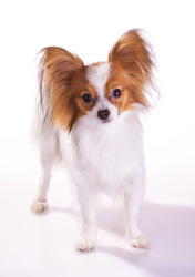 Similar image 172369