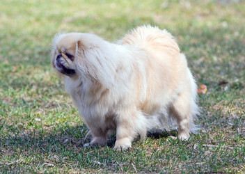 Similar image 172375