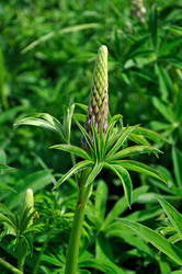 Similar image 172391