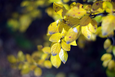 Similar image 172401